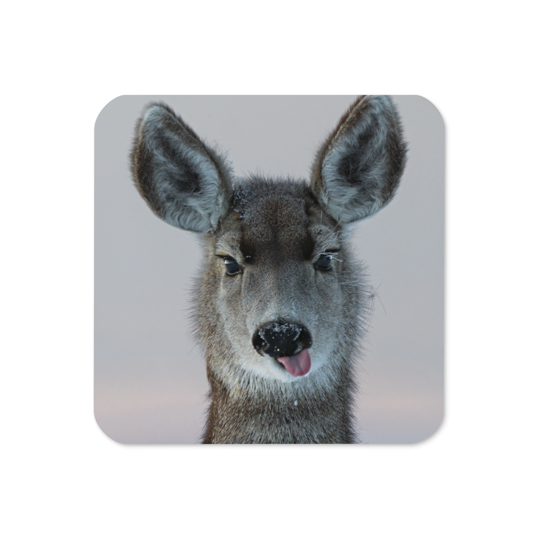 Deer Funny Face Cork-Back Coaster - The Overland Diaries