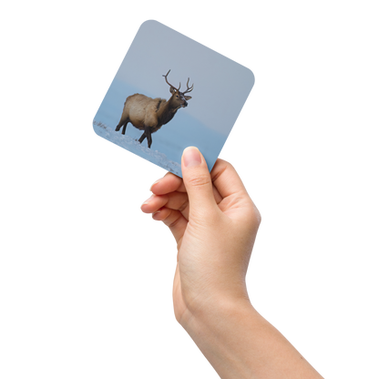 Elk Cork-back coaster - The Overland Diaries
