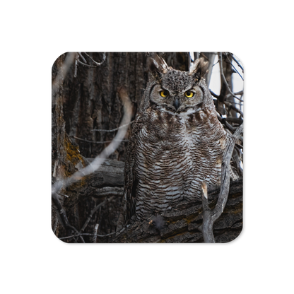 Horned Owl Cork-back coaster - The Overland Diaries