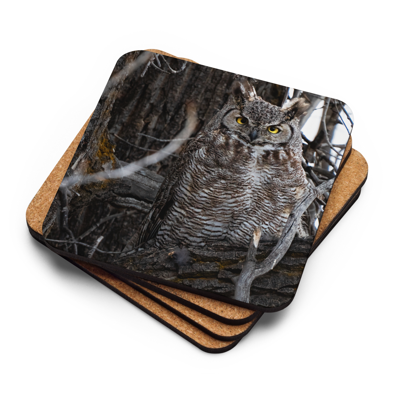 Horned Owl Cork-back coaster - The Overland Diaries