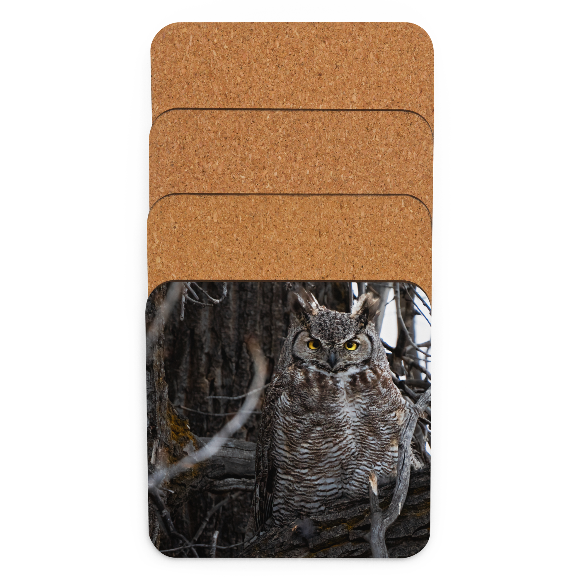 Horned Owl Cork-back coaster - The Overland Diaries