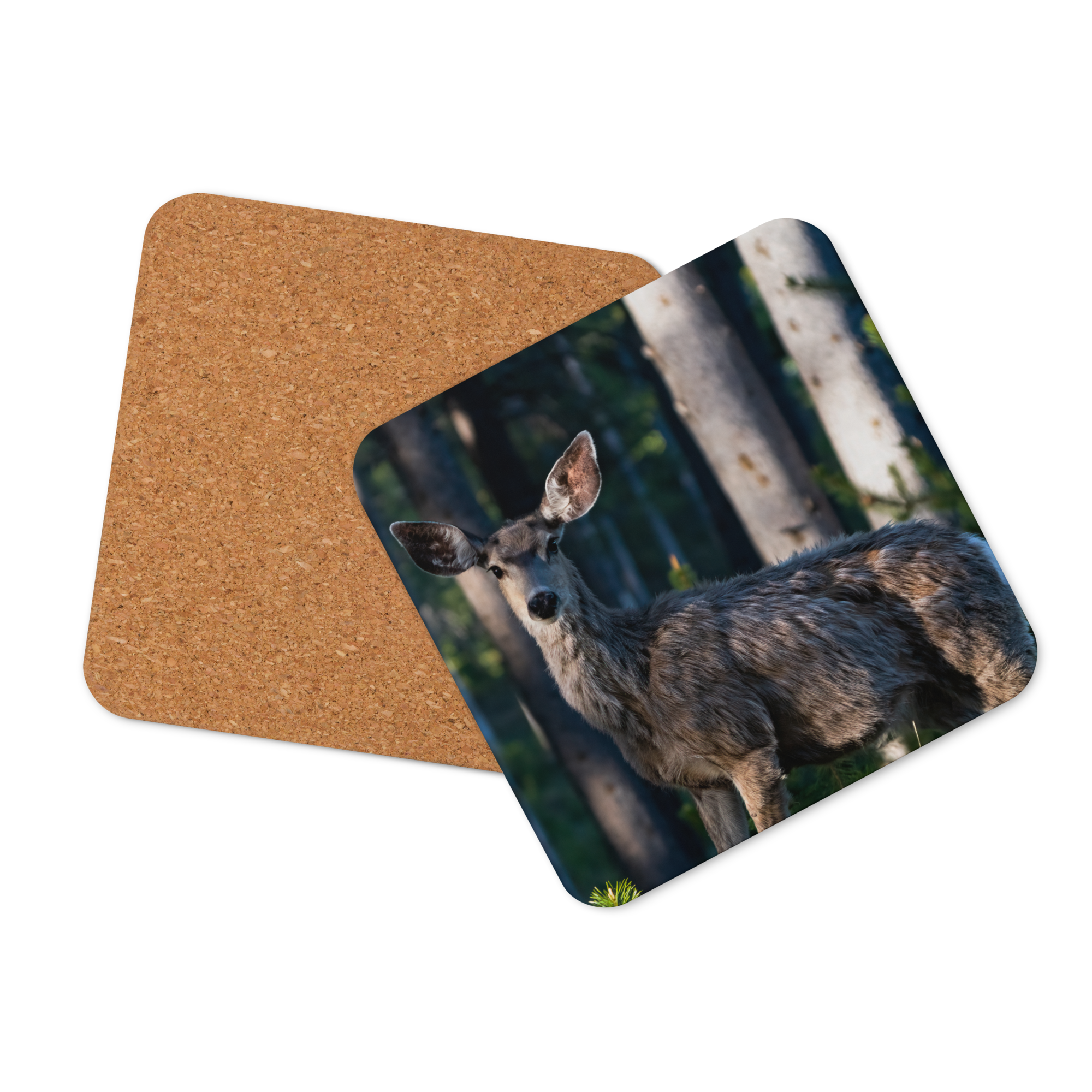 Mule Deer Cork-back coaster - The Overland Diaries