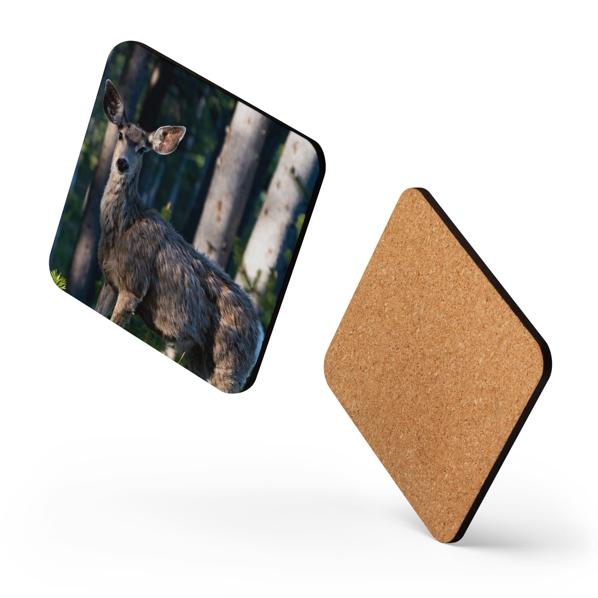 Mule Deer Cork-back coaster - The Overland Diaries