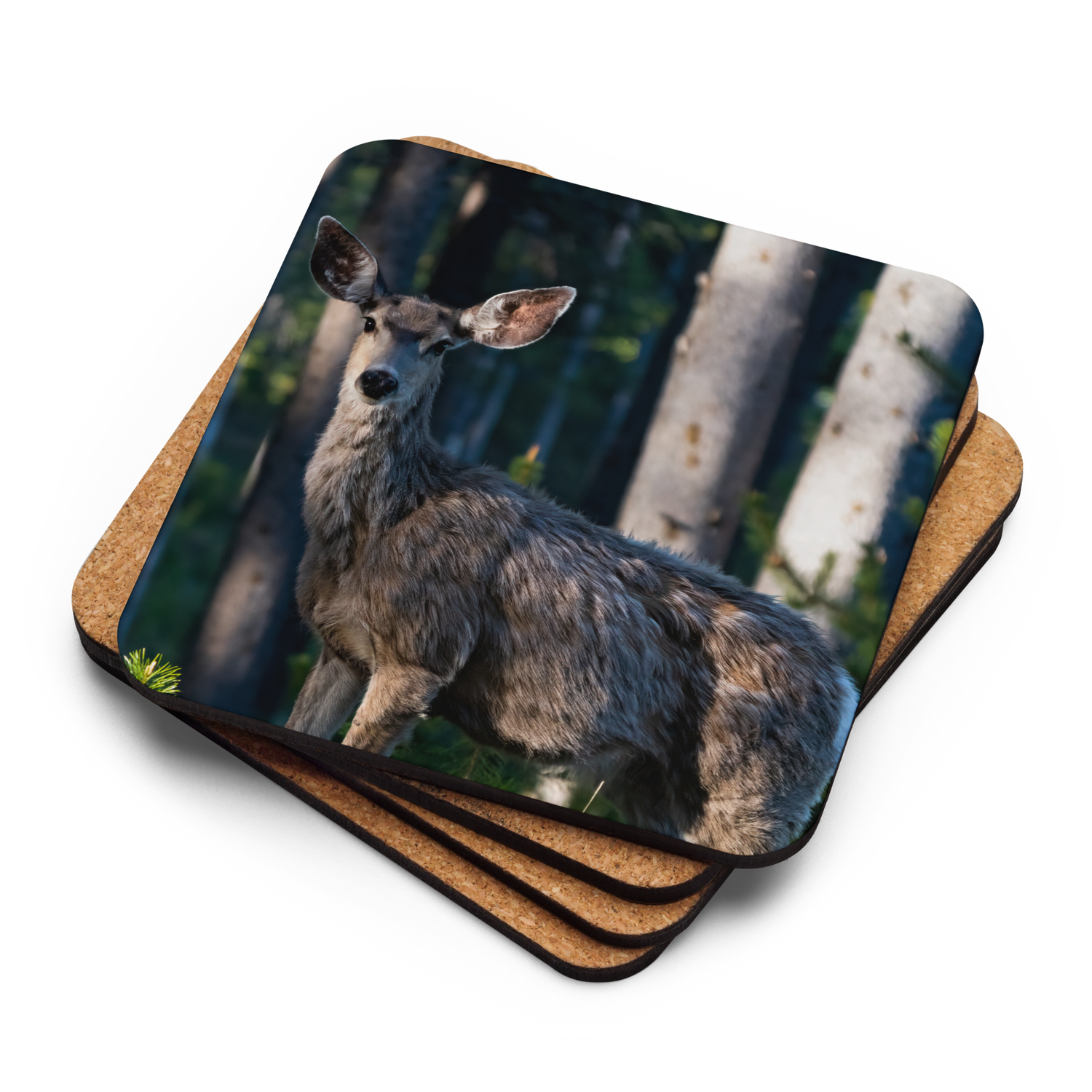 Mule Deer Cork-back coaster - The Overland Diaries