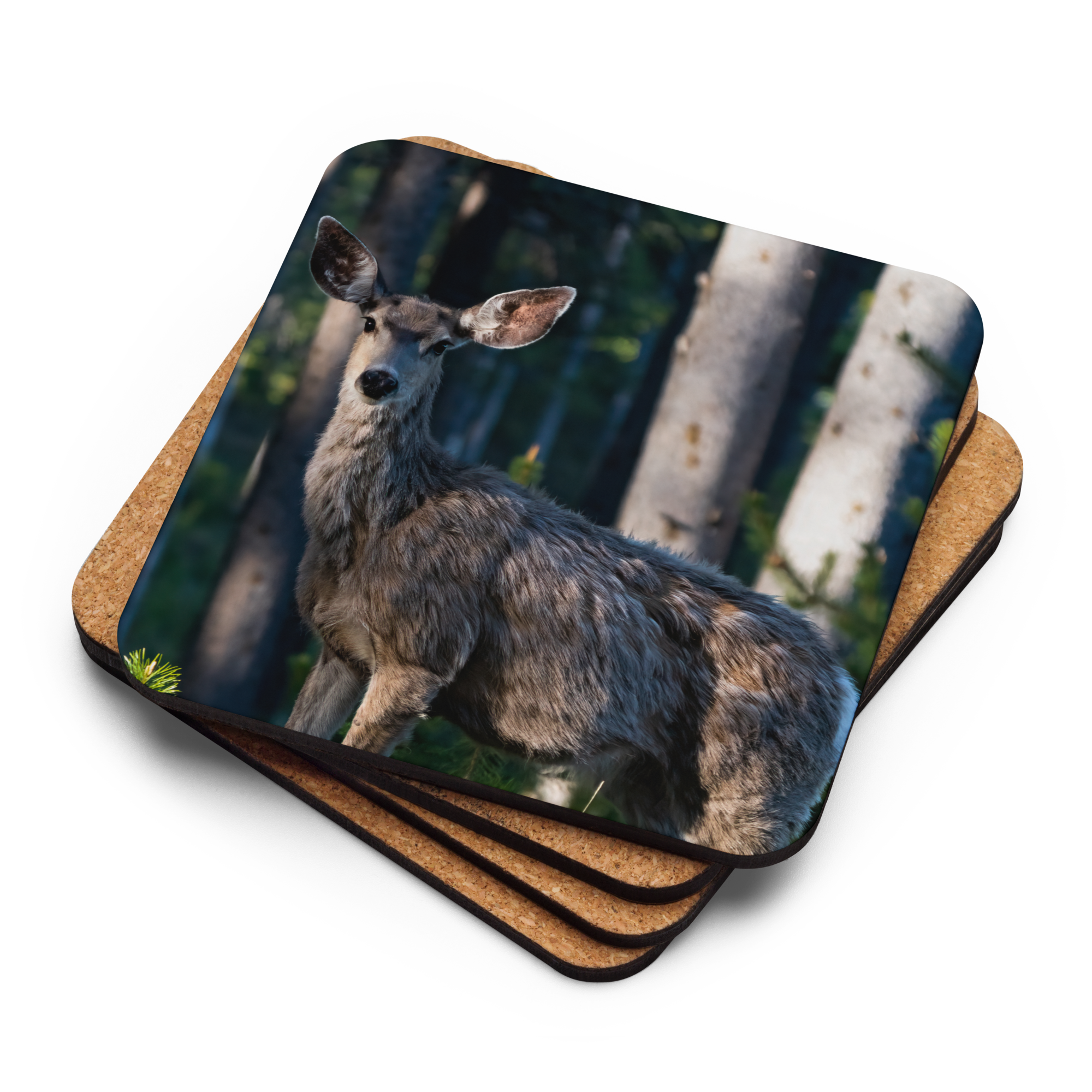 Mule Deer Cork-back coaster - The Overland Diaries