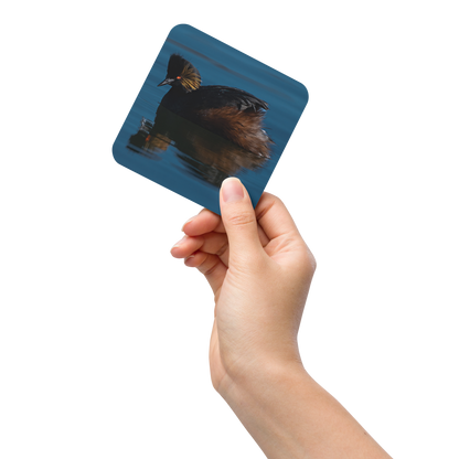 Eared GrebeCork-back Coaster - The Overland Diaries