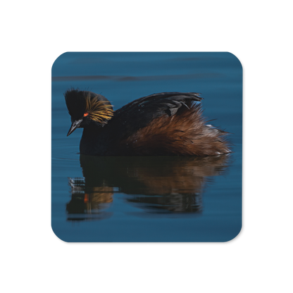 Eared GrebeCork-back Coaster - The Overland Diaries
