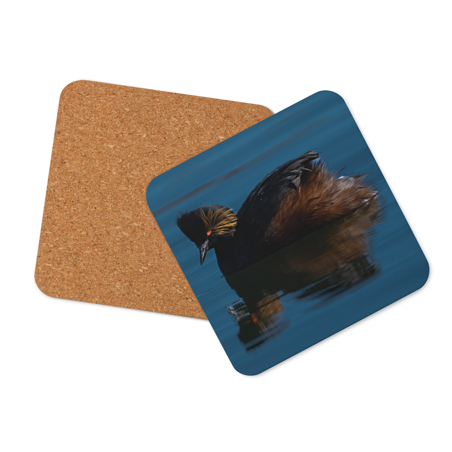 Eared GrebeCork-back Coaster - The Overland Diaries