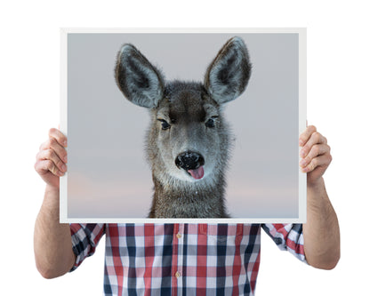 Deer Funny Face - The Overland Diaries