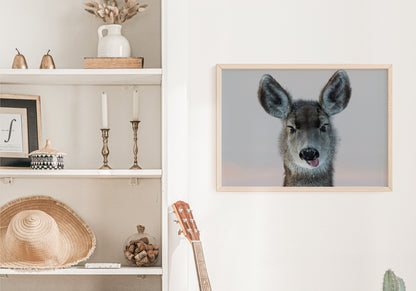 Deer Funny Face - The Overland Diaries