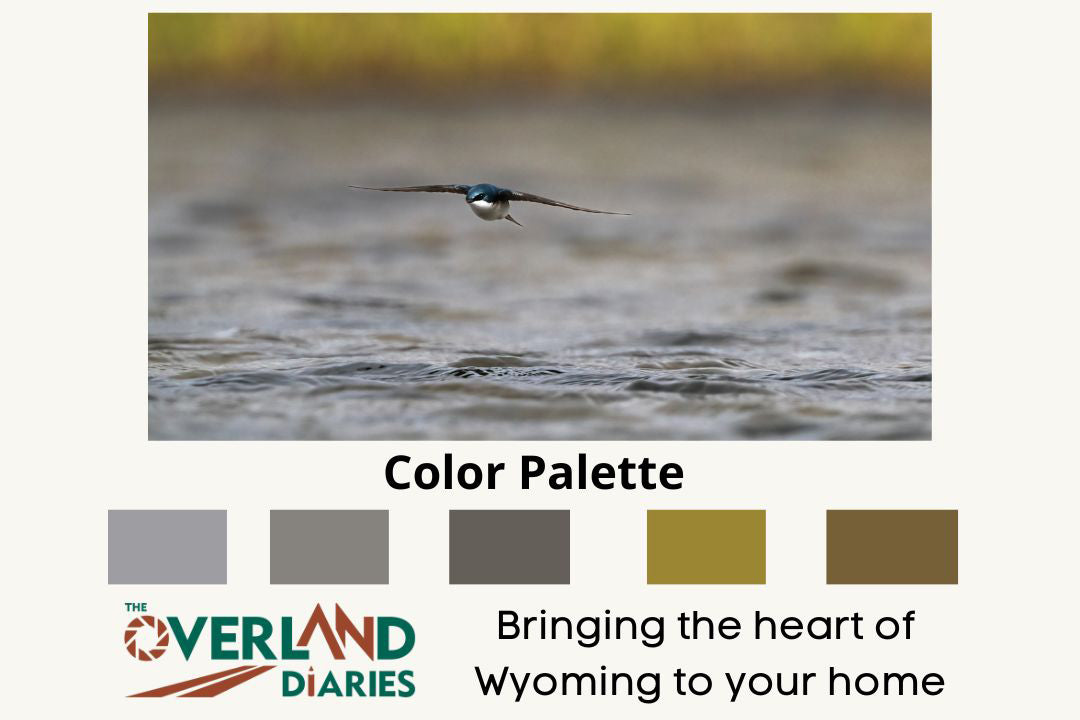 Flying Tree Swallow Photo - The Overland Diaries