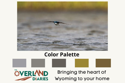 Flying Tree Swallow Photo - The Overland Diaries