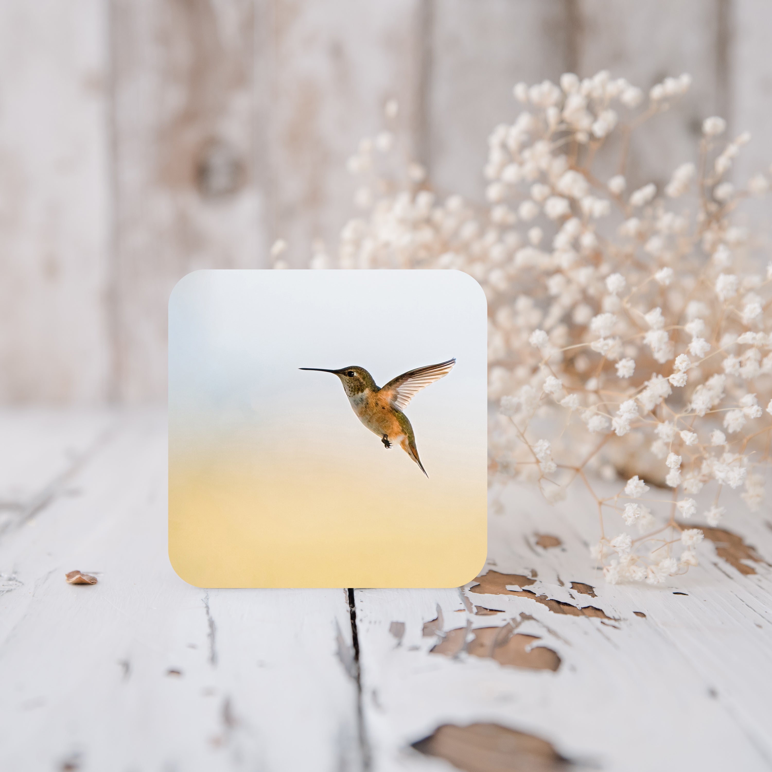 Hummingbird Cork-Back Coaster - The Overland Diaries