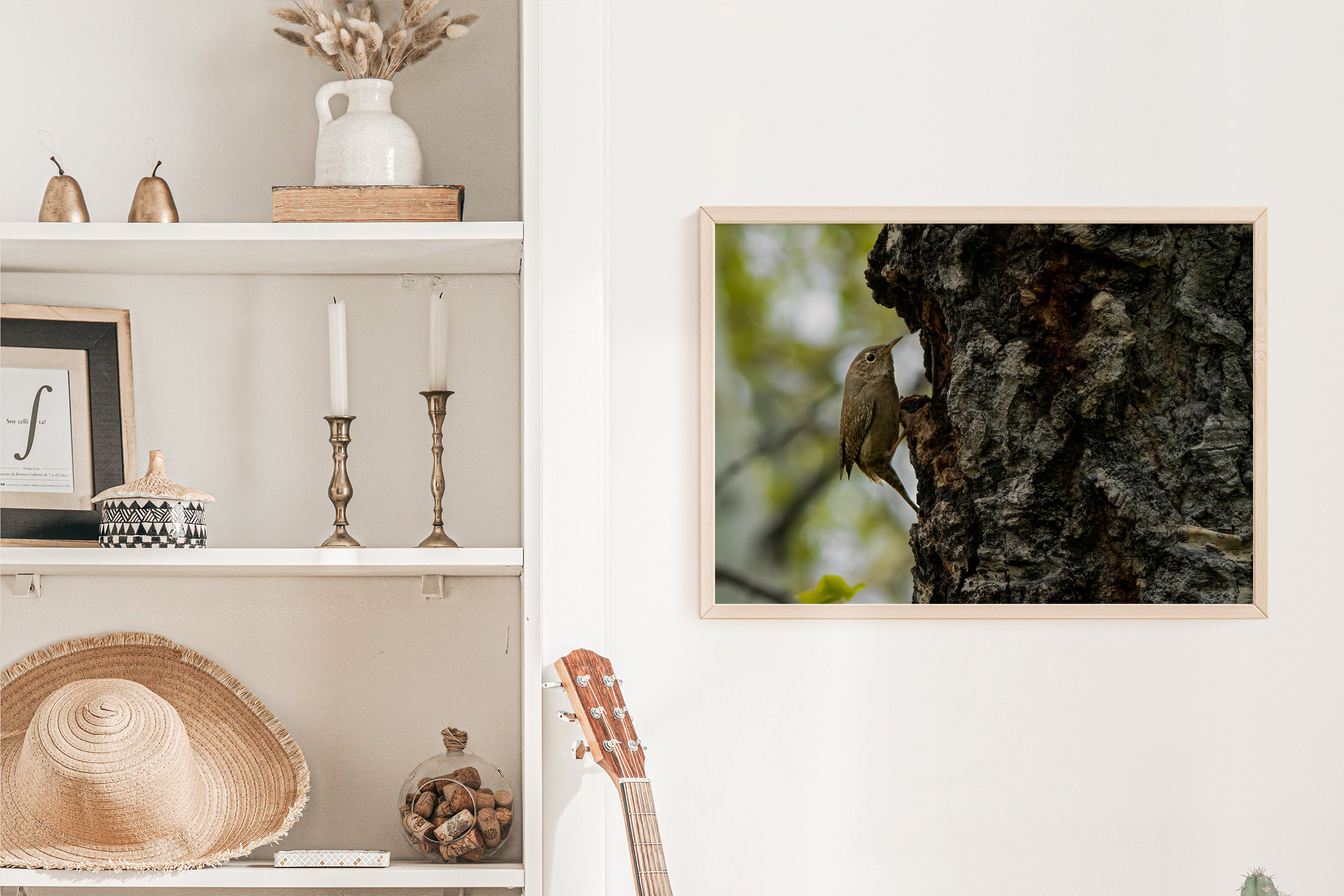 Bird Photography: House Wren - The Overland Diaries