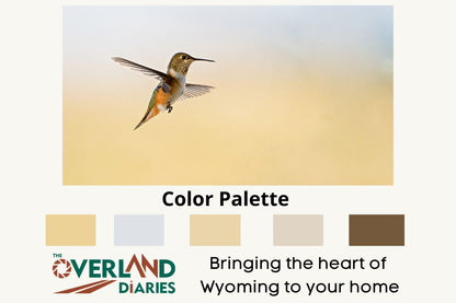 Hummingbird Photo - The Overland Diaries