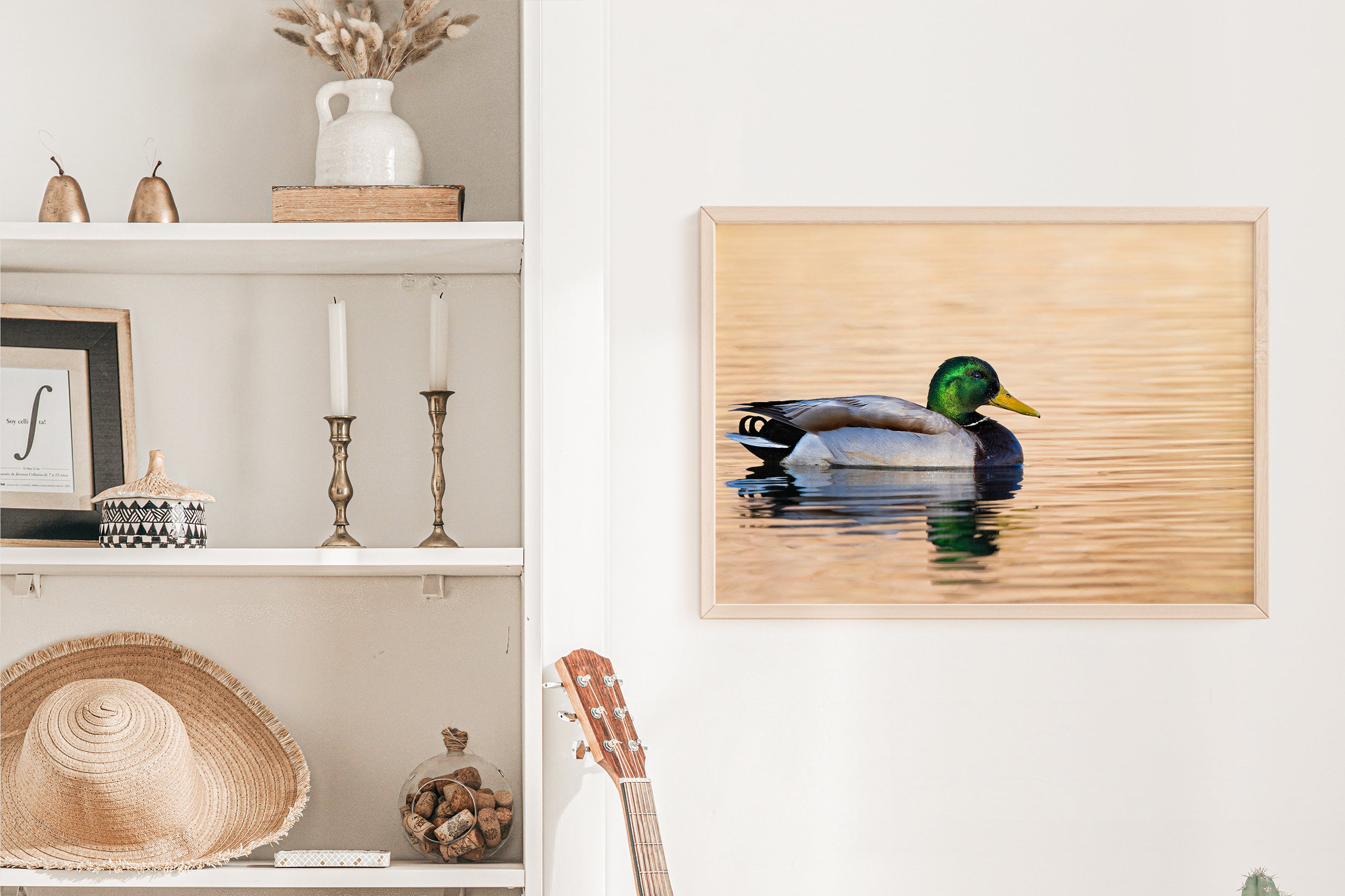 Male Mallard Duck Photo - The Overland Diaries