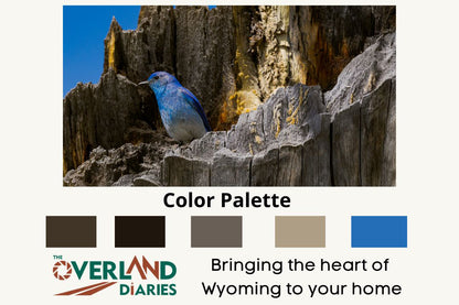 Mountain Bluebird Photograph - The Overland Diaries