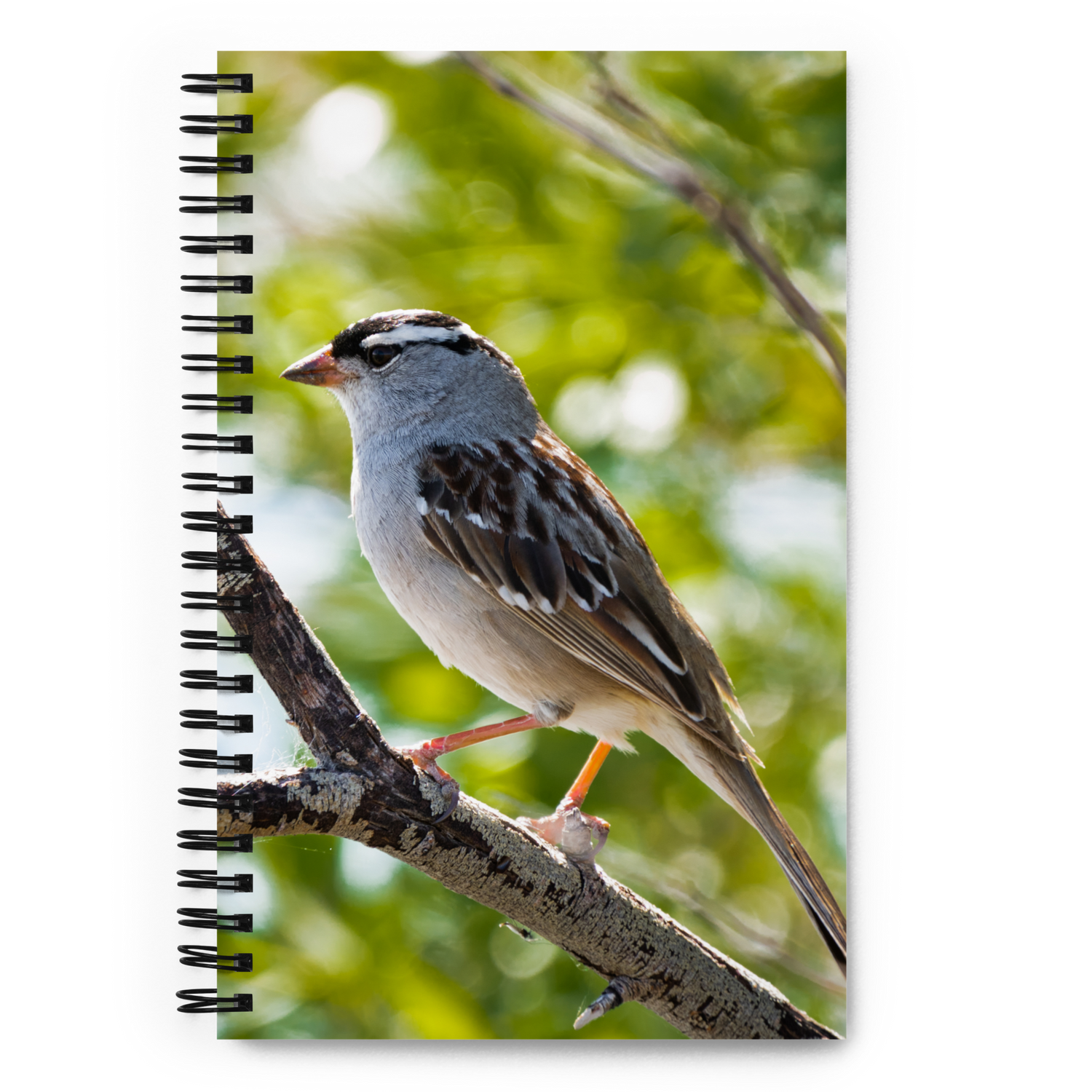 White-crowned Sparrow Spiral Notebook - The Overland Diaries