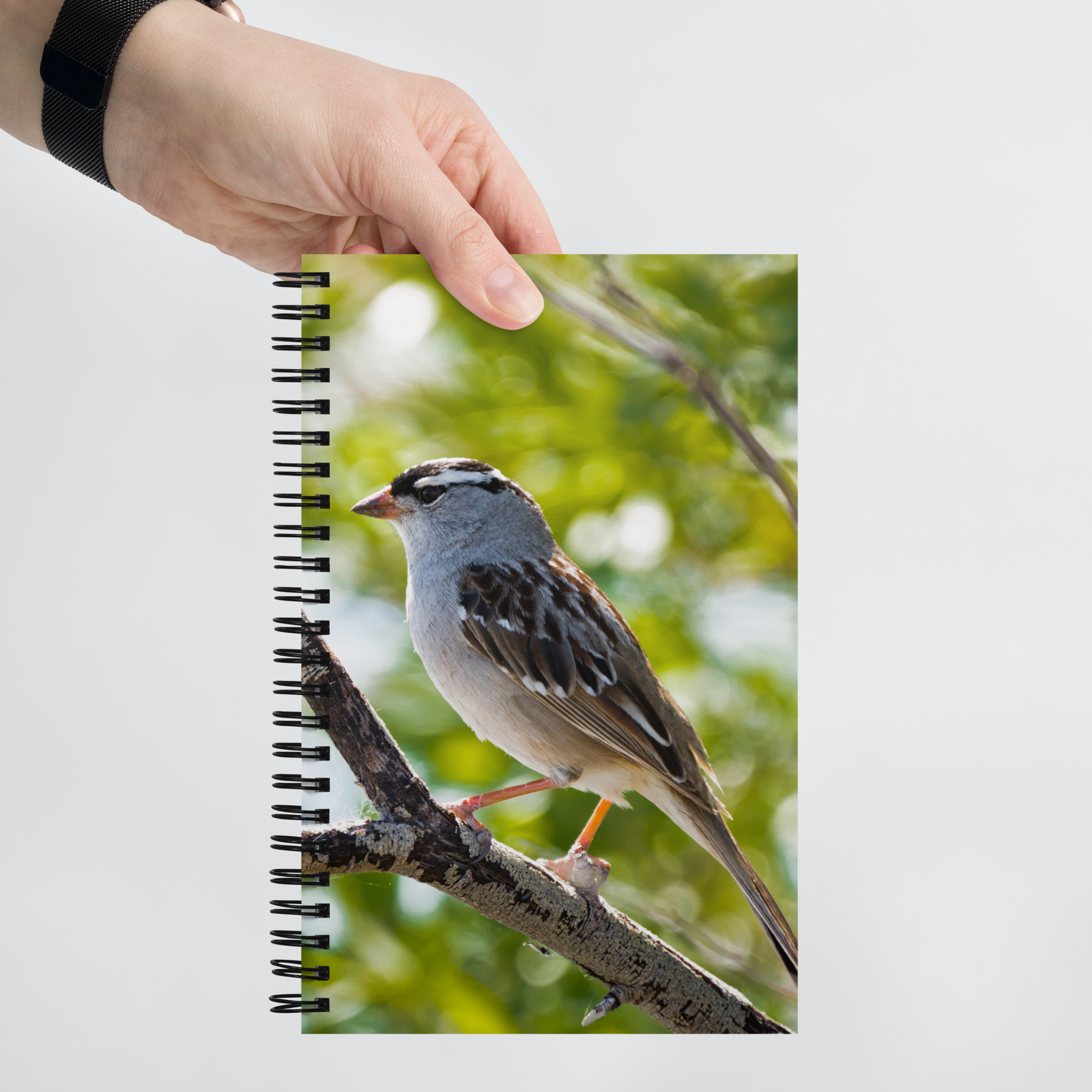 White-crowned Sparrow Spiral Notebook - The Overland Diaries