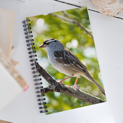 White-crowned Sparrow Spiral Notebook - The Overland Diaries