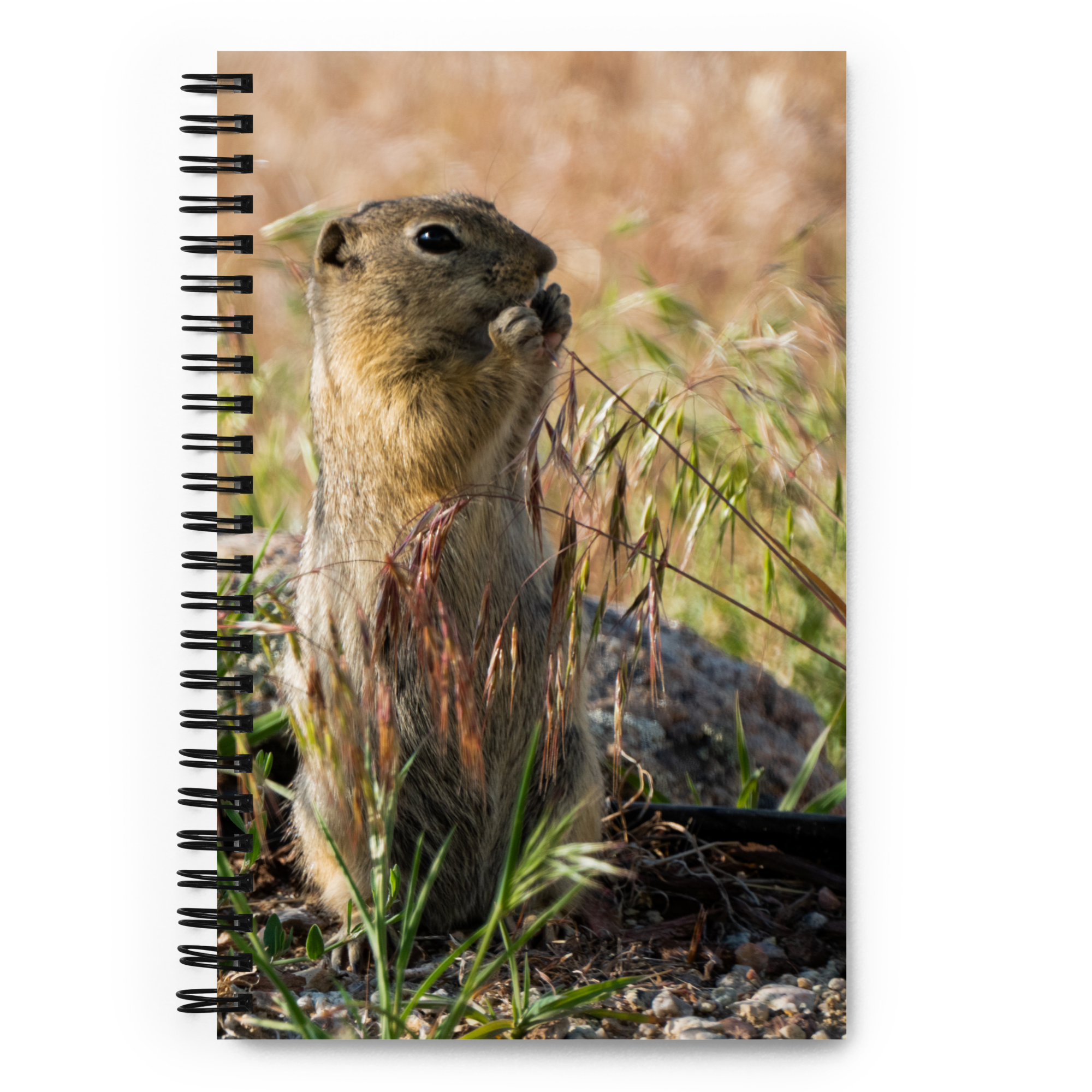 Gopher Spiral Notebook - The Overland Diaries