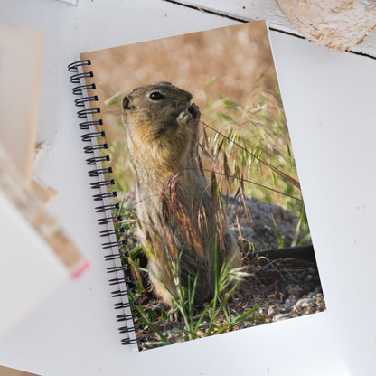 Gopher Spiral Notebook - The Overland Diaries