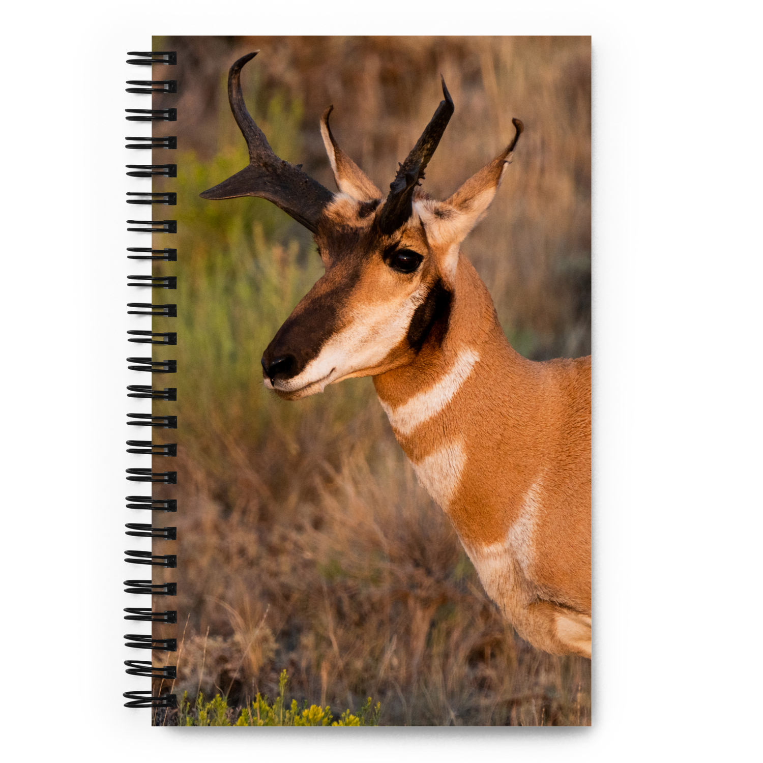 Pronghorn Spiral Notebook - The Overland Diaries