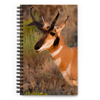 Pronghorn Spiral Notebook - The Overland Diaries