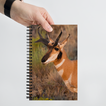 Pronghorn Spiral Notebook - The Overland Diaries