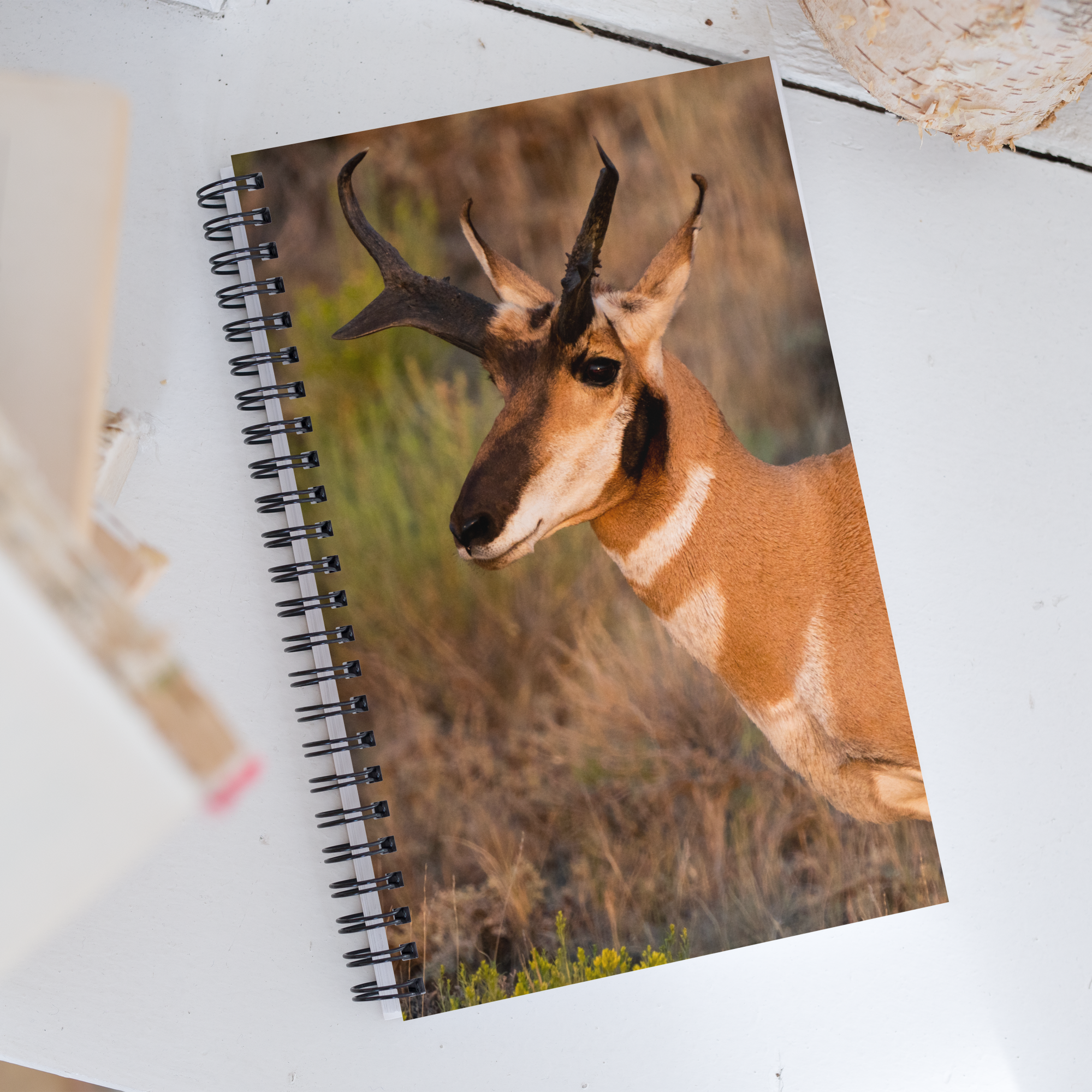 Pronghorn Spiral Notebook - The Overland Diaries