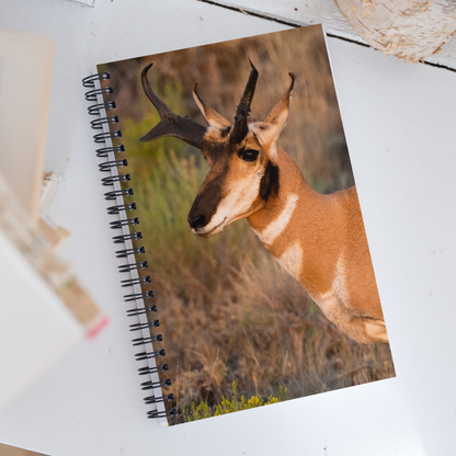 Pronghorn Spiral Notebook - The Overland Diaries