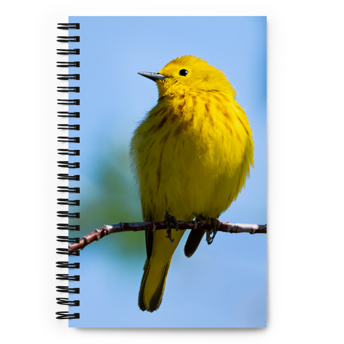 Yellow Warbler Spiral Notebook - The Overland Diaries