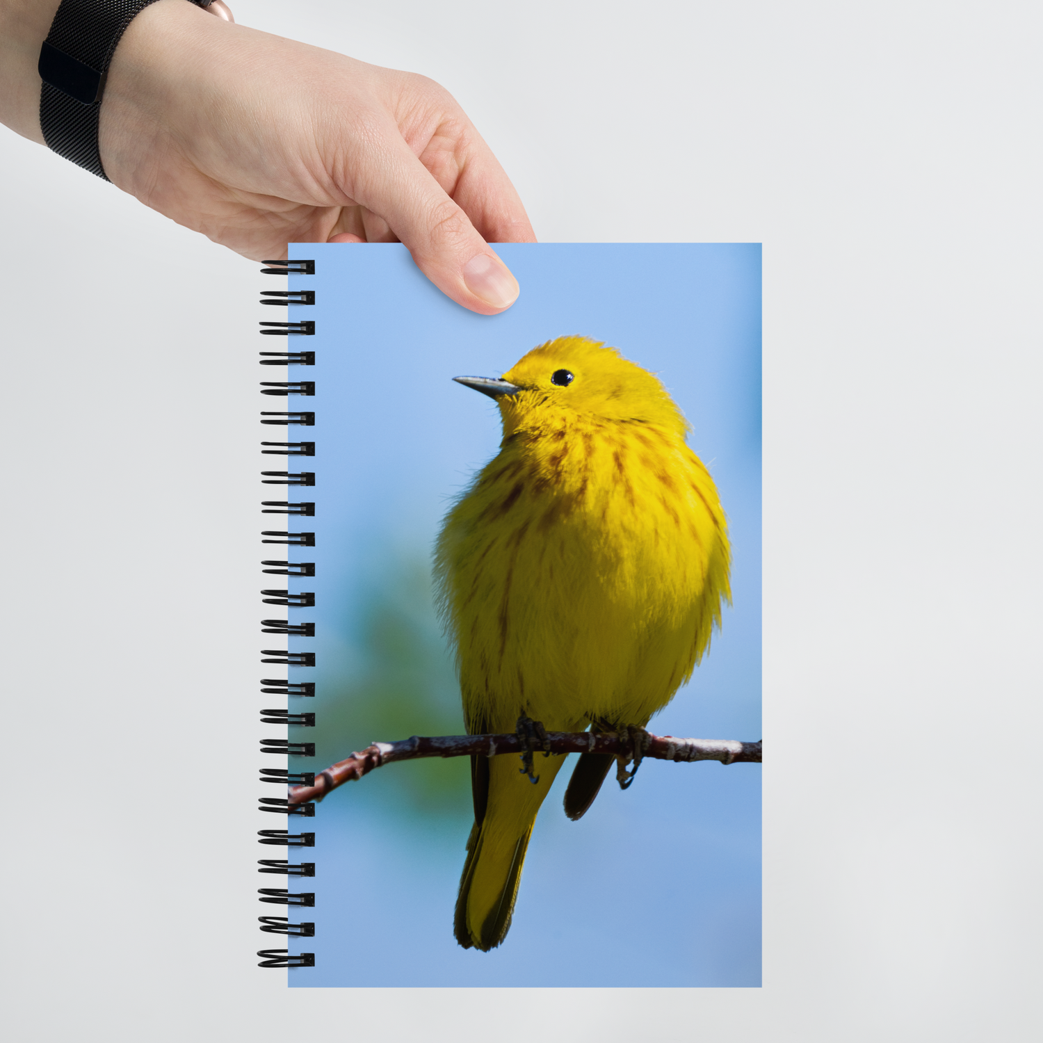 Yellow Warbler Spiral Notebook - The Overland Diaries