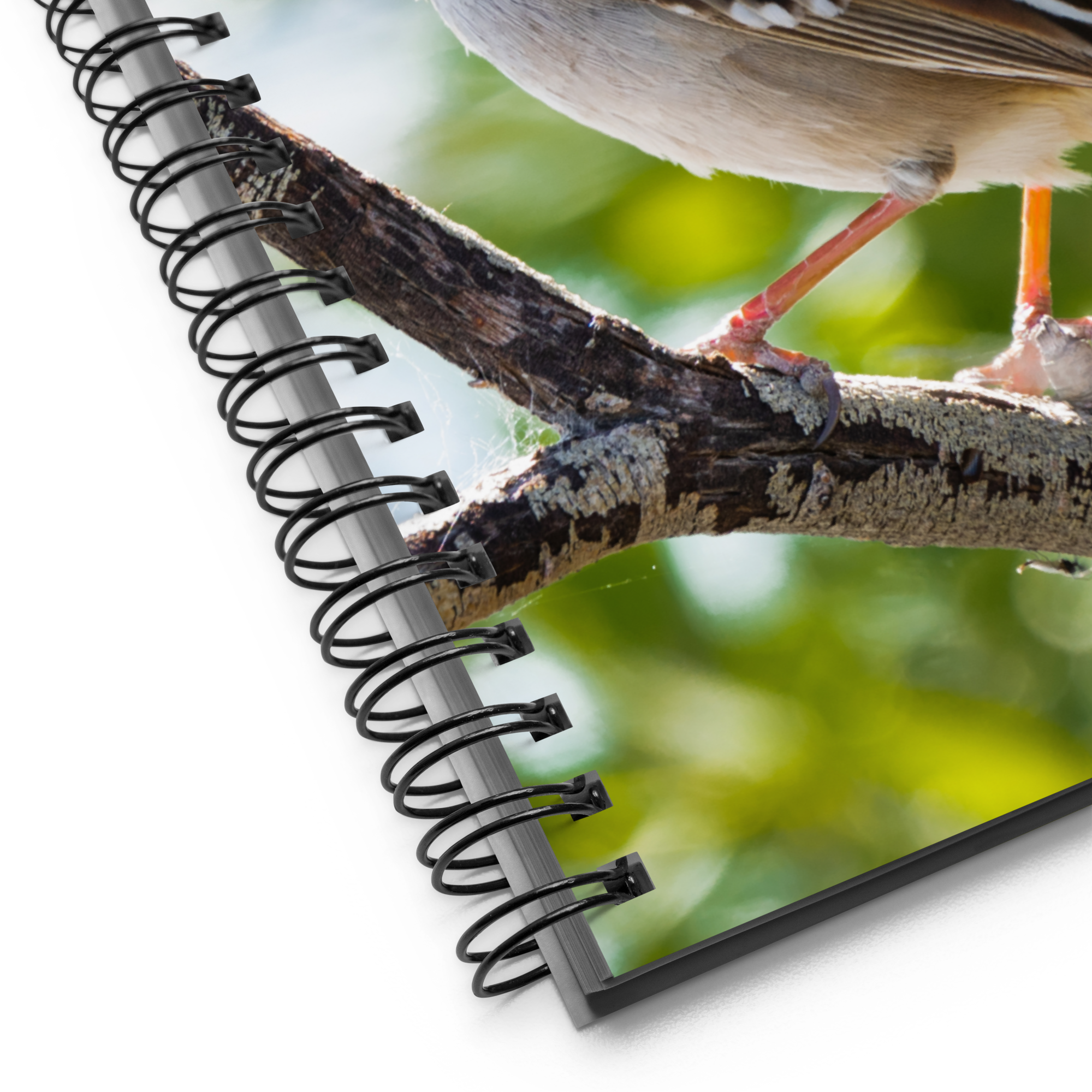 White-crowned Sparrow Spiral Notebook - The Overland Diaries