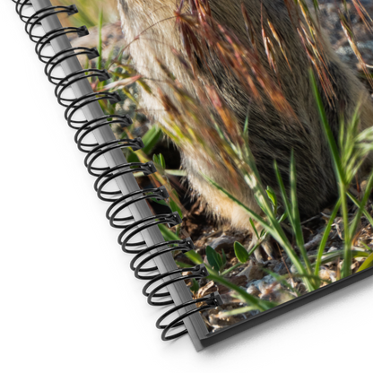 Gopher Spiral Notebook - The Overland Diaries