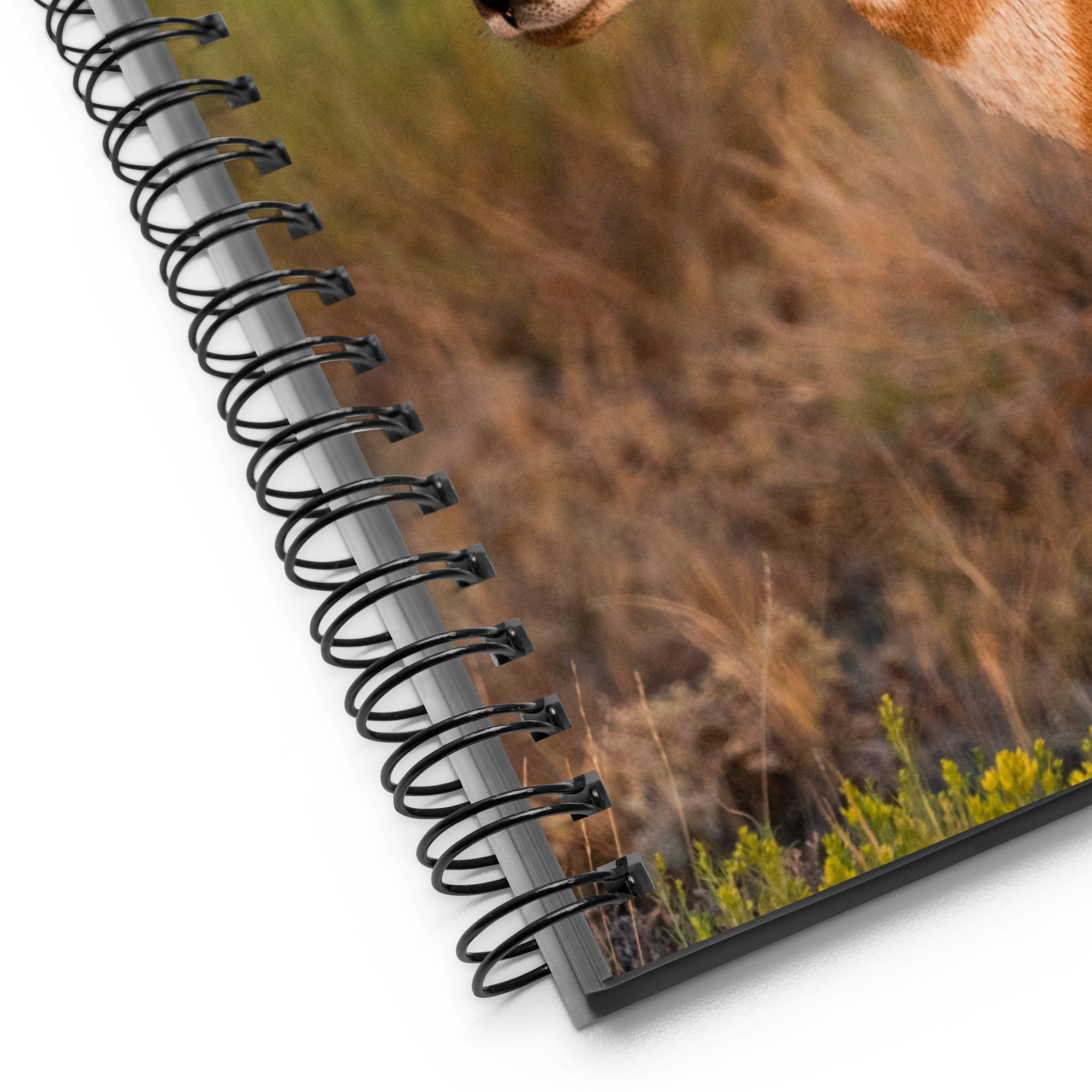 Pronghorn Spiral Notebook - The Overland Diaries