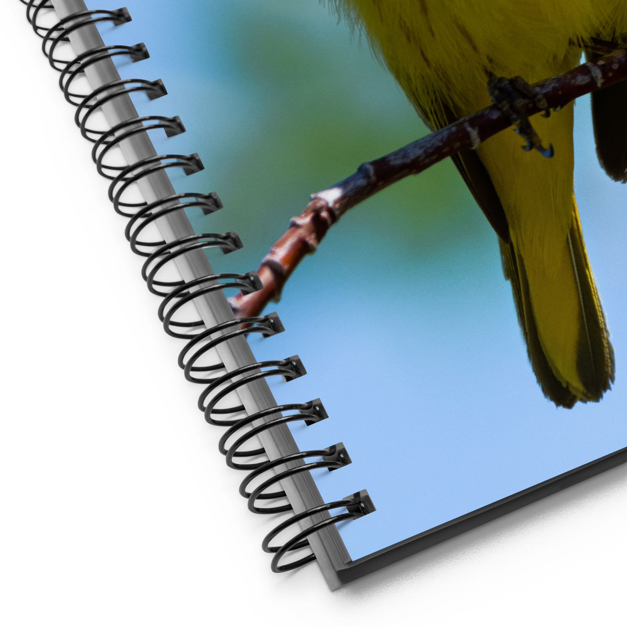 Yellow Warbler Spiral Notebook - The Overland Diaries