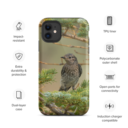 Female Mountain Bluebird Tough Case for iPhone® - The Overland Diaries