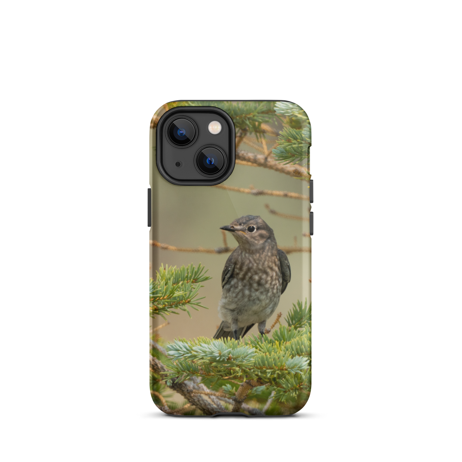 Female Mountain Bluebird Tough Case for iPhone® - The Overland Diaries