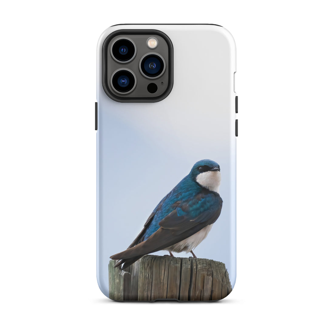 Tree Swallow Tough Case for iPhone® - The Overland Diaries