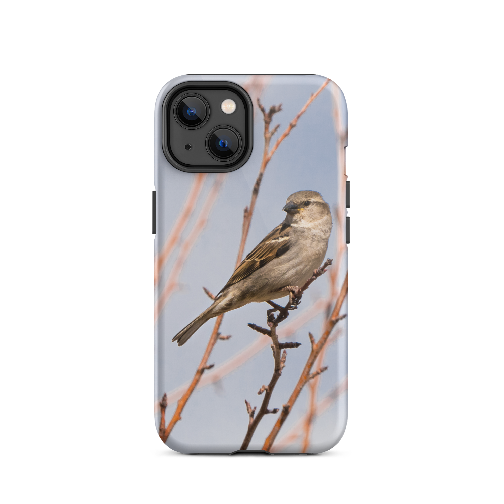 House Sparrow Tough Case for iPhone® - The Overland Diaries
