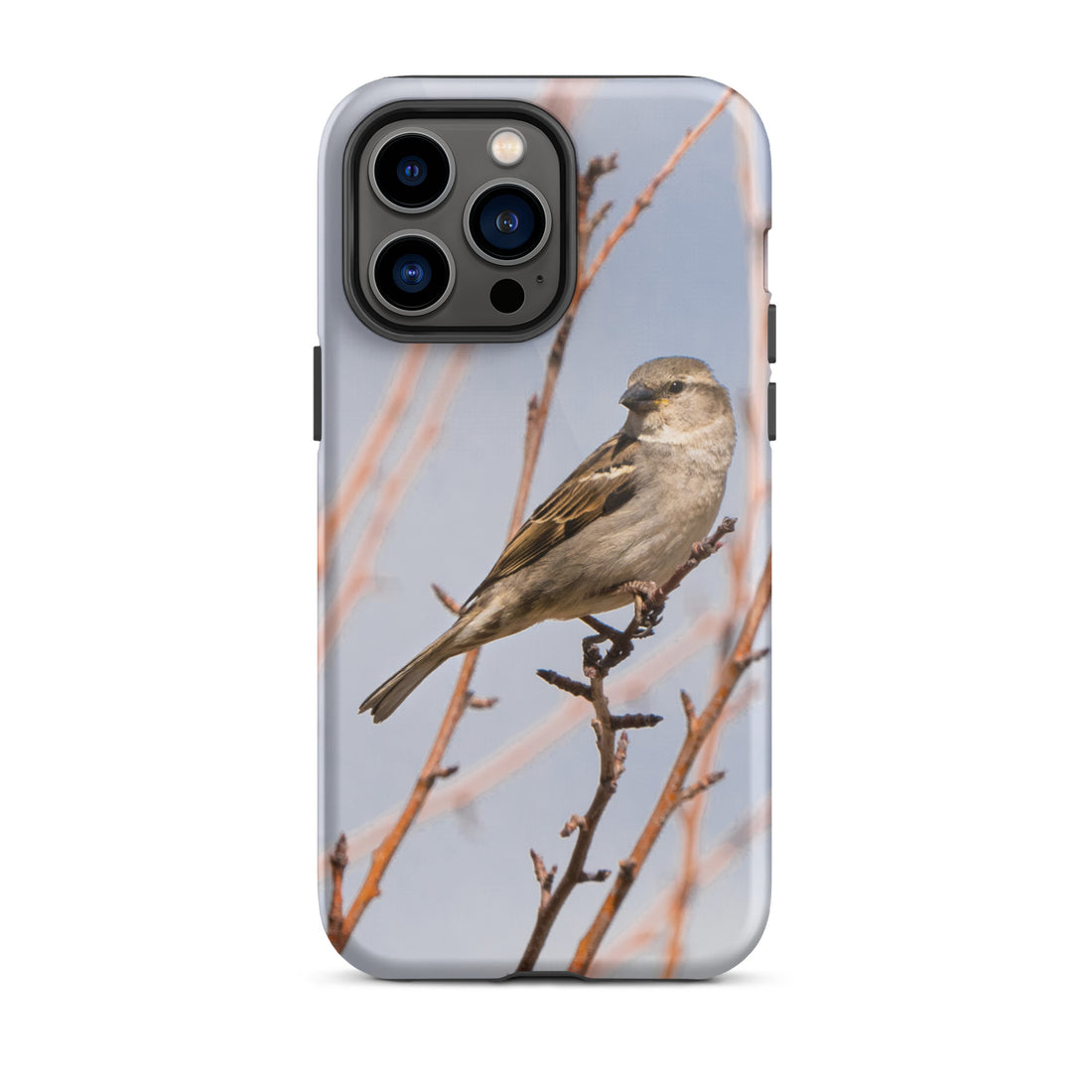 House Sparrow Tough Case for iPhone® - The Overland Diaries