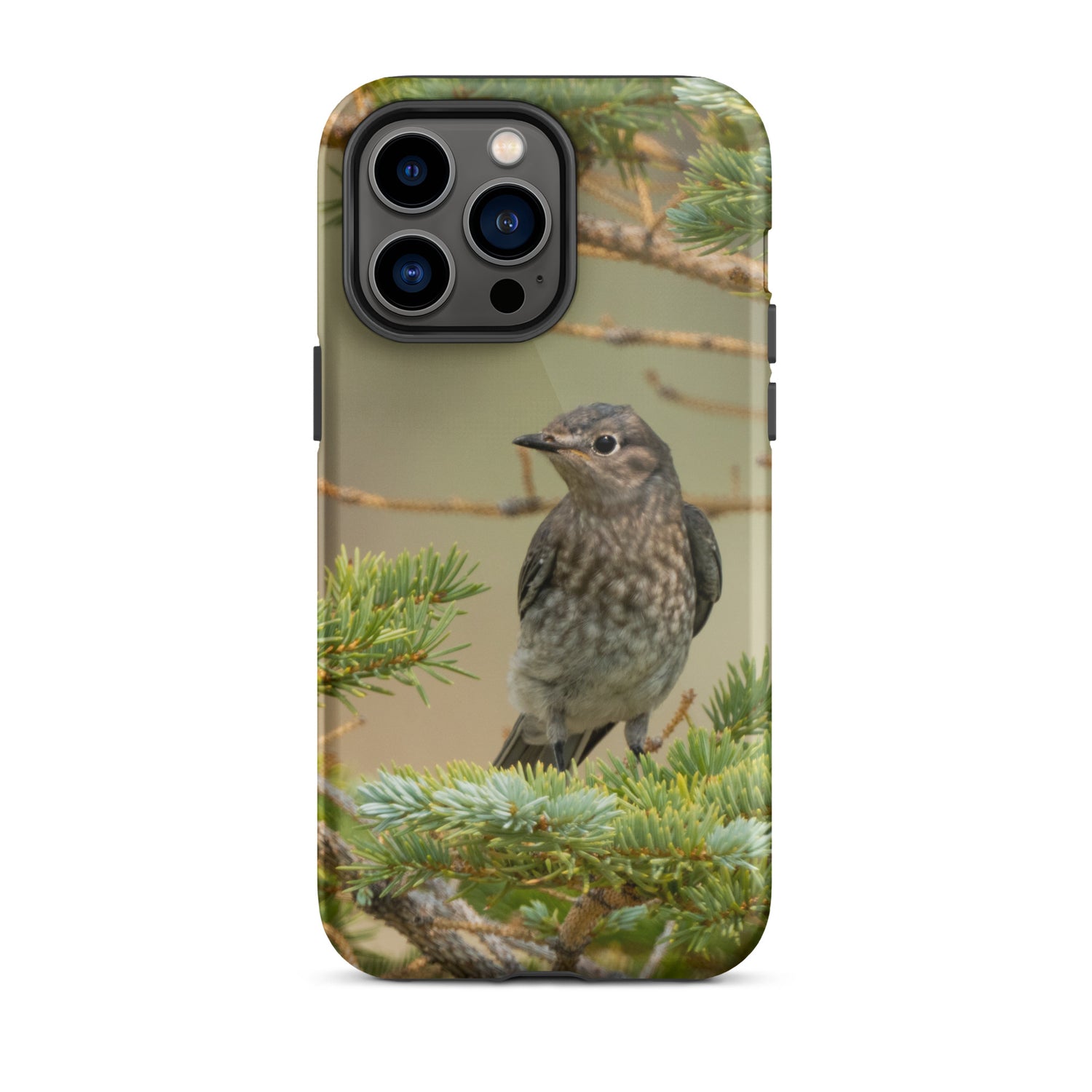 Female Mountain Bluebird Tough Case for iPhone® - The Overland Diaries
