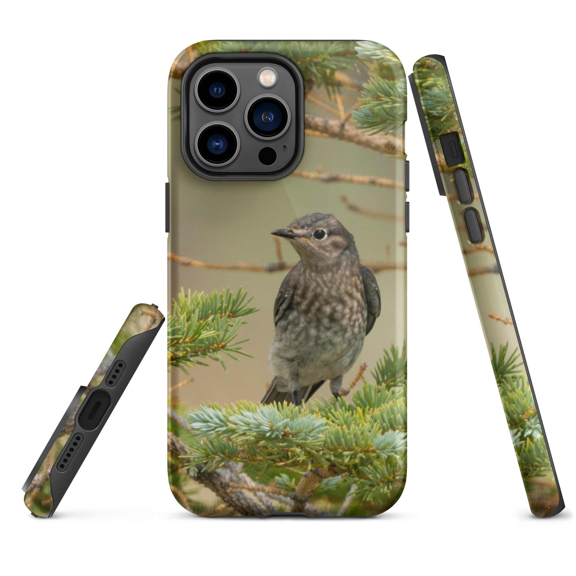 Female Mountain Bluebird Tough Case for iPhone® - The Overland Diaries