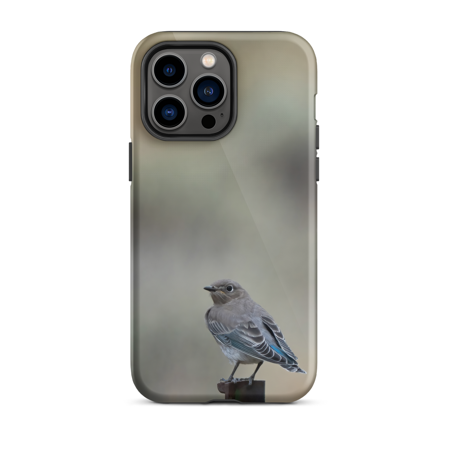 Mountain Bluebird Tough Case for iPhone® - The Overland Diaries