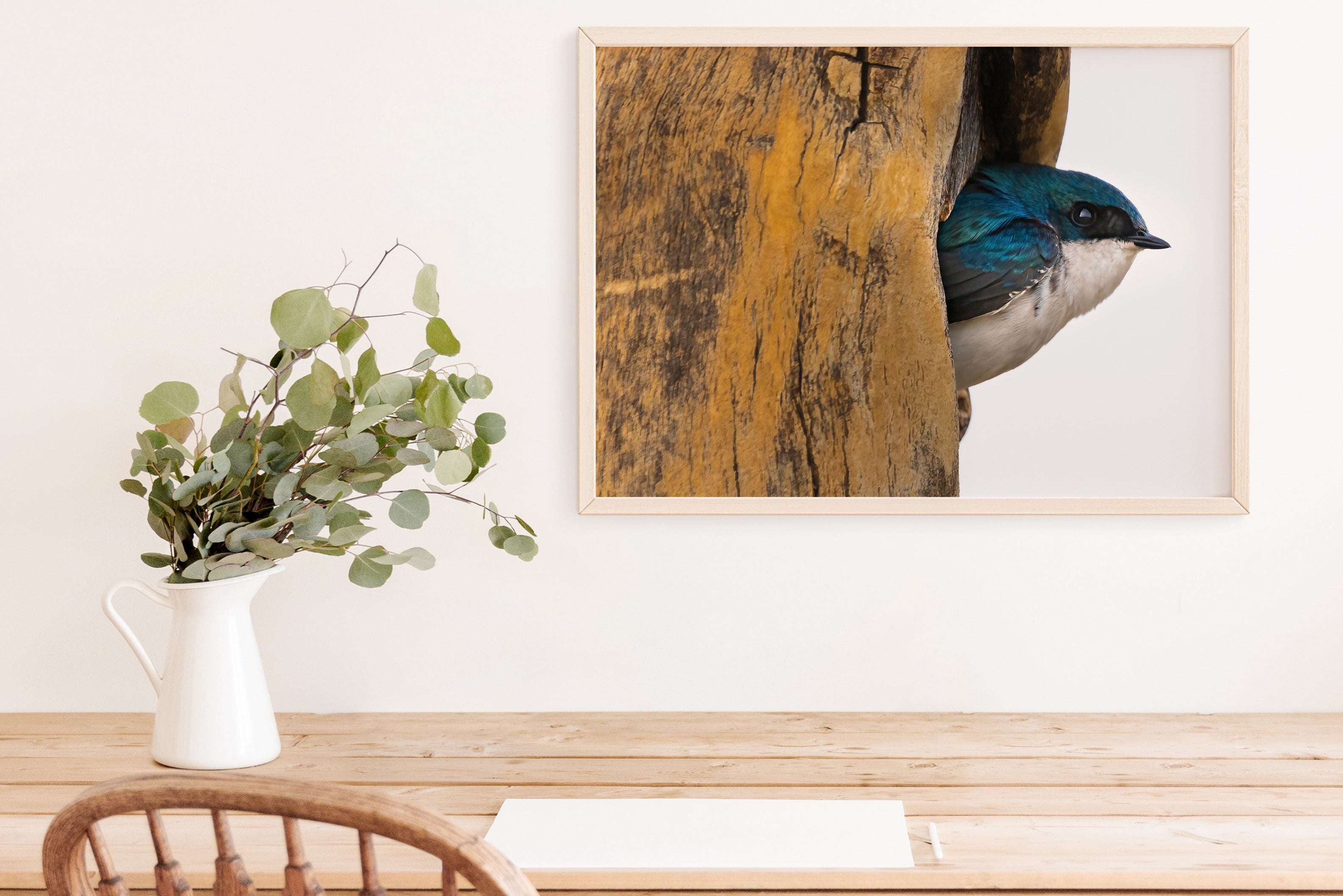 Tree Swallow Coming Out Of It&