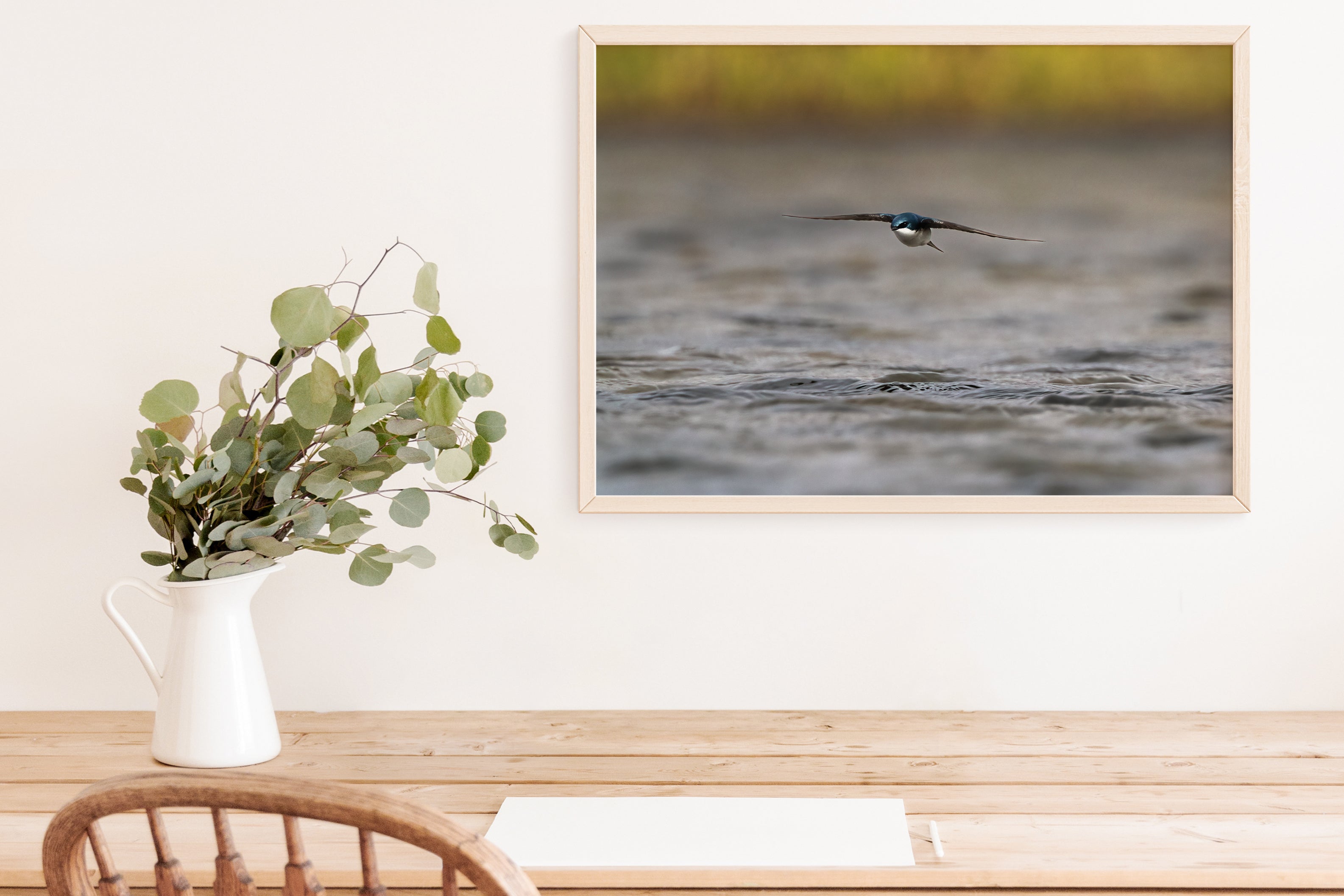 Flying Tree Swallow Photo - The Overland Diaries